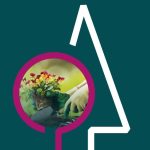 BBF Herold Ingenieurgesellschaft für Garten- und Landschaftsbau mbH