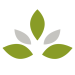 Ethno-Health Group BV