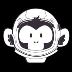 Rocket Apes GmbH